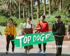 91探花视频《TOP DOG》免费在线观看
