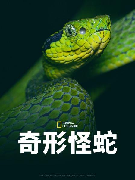 91撸影视《奇形怪蛇》免费在线观看